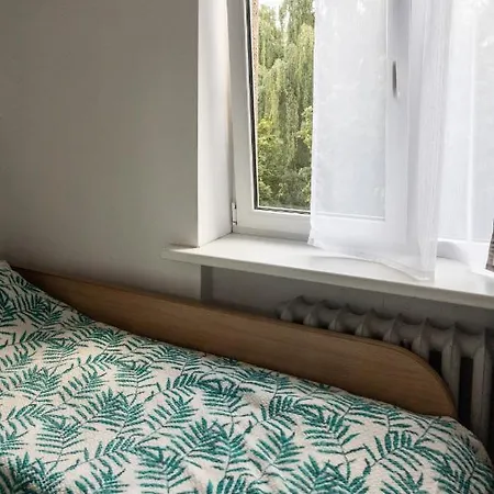 Mini Centre Apartman *